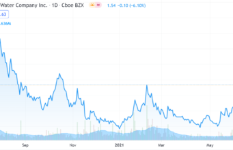 Beverage Stock Review